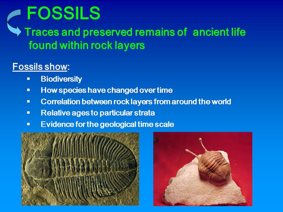 isotopes dating fossils