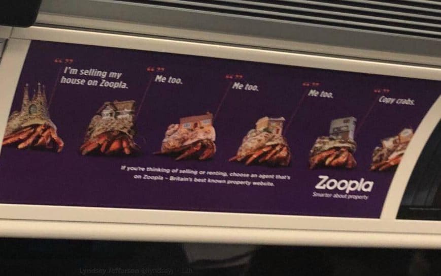 zoopla dating